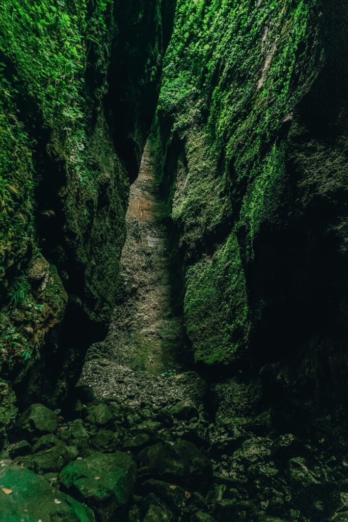 pexels-photo-4656675-4656675 Explore the stunning moss-covered rock formations in Oroquieta City, Philippines.